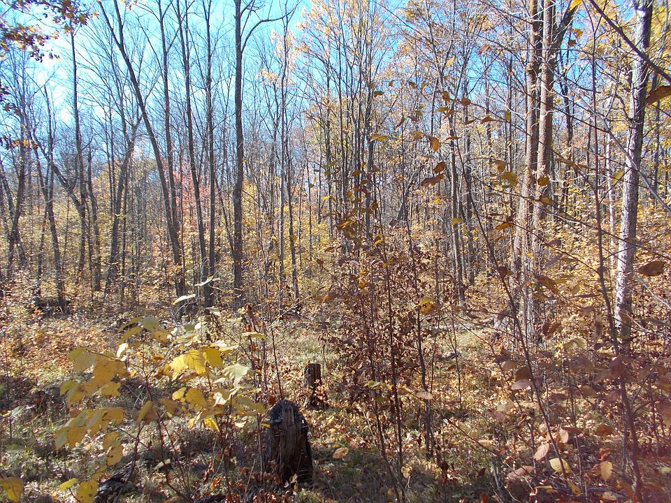 2nd image of Tbd Ross Woodlands Rd