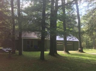 10132 Stone Rd, Roscommon, MI 48653