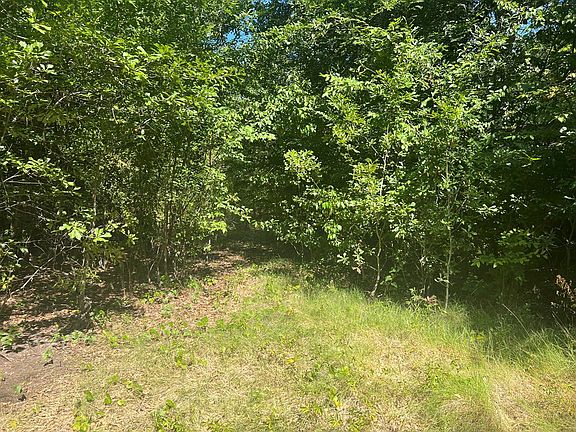 5th image of 235 Whiteface Dr