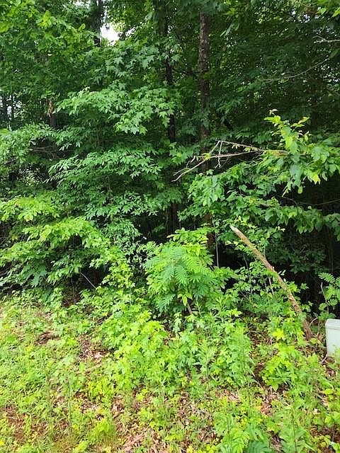1st image of 4724 Rocky Branch Xing