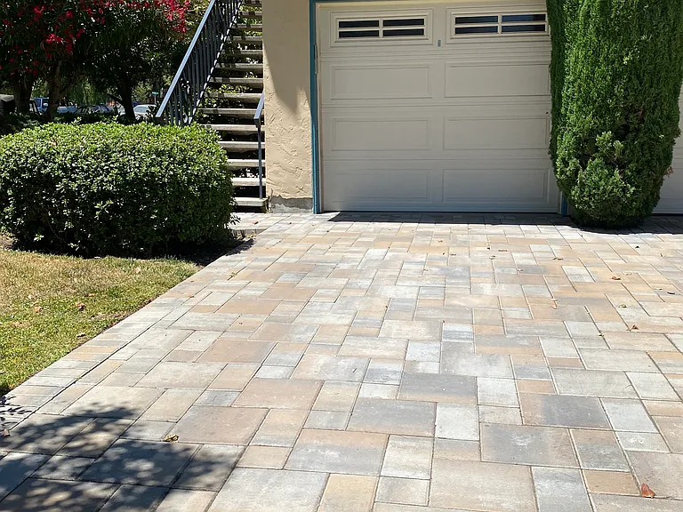 642 Hopkins Ave #1 — Photo 27
