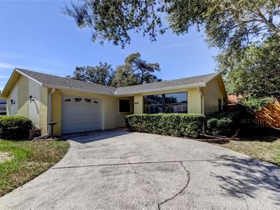 1404 Castleworks Ln, Tarpon Springs, FL, 34689