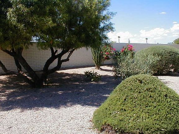 backyard looking west
