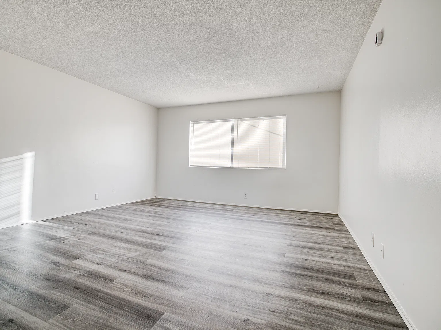 2 bed, $2,350 — Photo 3