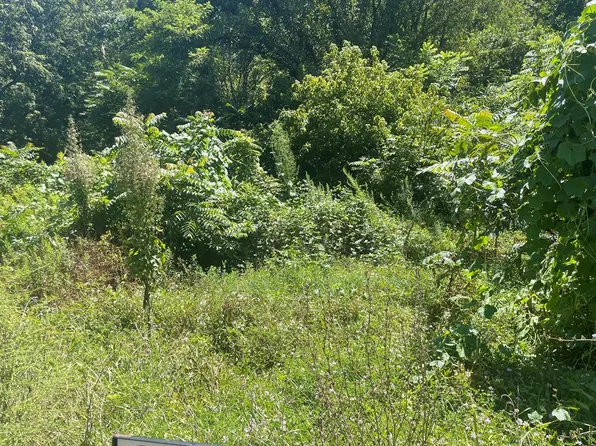 Big Creek Rd, Richlands, VA 24641