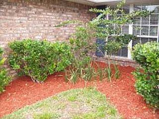 1st image of 7619 Ortega Bluff Pkwy