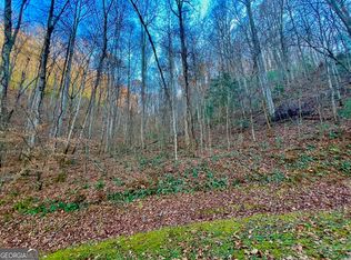 22 Walker Ridge Way, Mineral Bluff, GA 30559