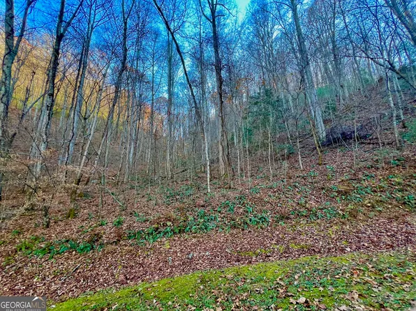 22 Walker Ridge Way, Mineral Bluff, GA 30559