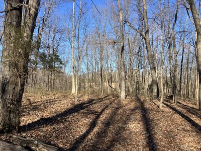 1 Blue Branch Rd, Lynnville, TN, 38472