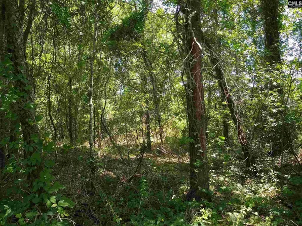 0 Clyde Ave, Cheraw, SC 29520