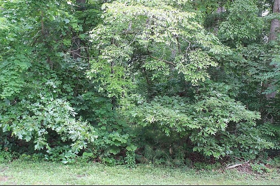 1st image of 2028 Mayflower Dr
