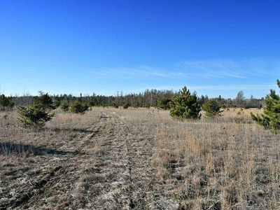 14.97 Acres Hwy 63, Hayward, WI, 54843