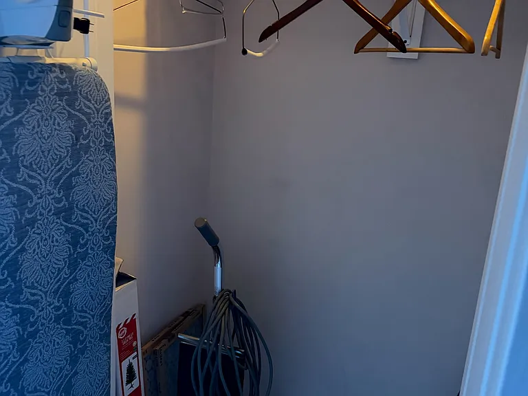 Cleaning Essentials and Ironing in hall coat closet.