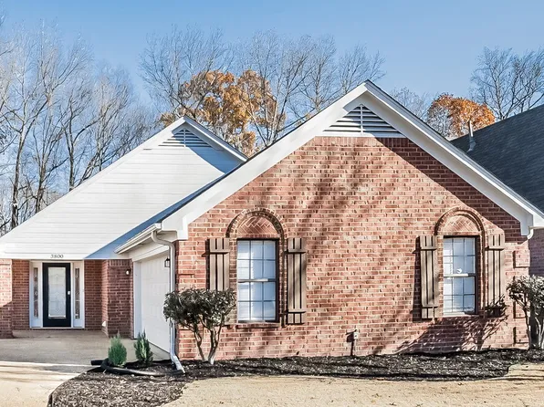 3800 Lake Village Cv, Olive Branch, MS 38654