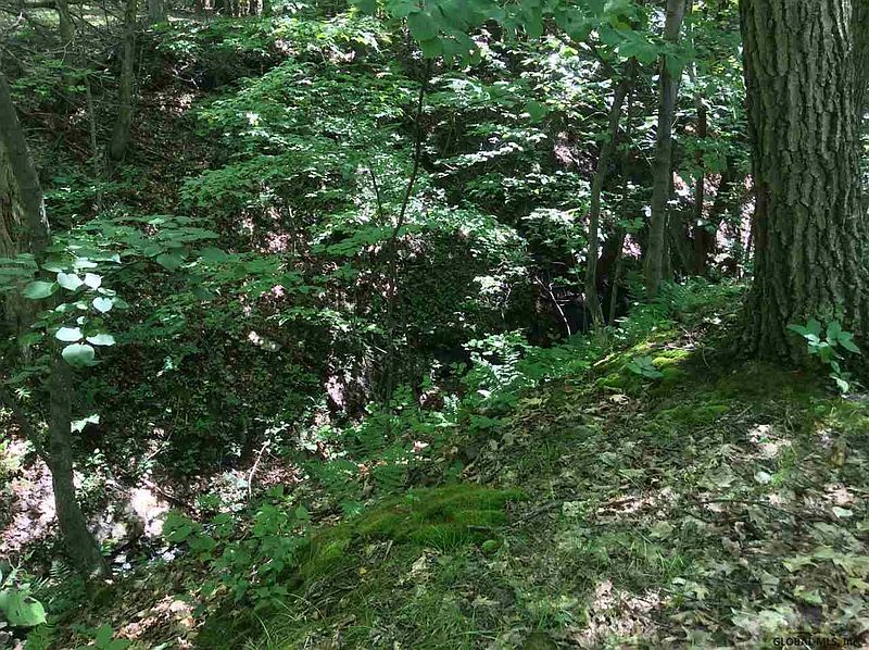 5th image of RIDGE Road