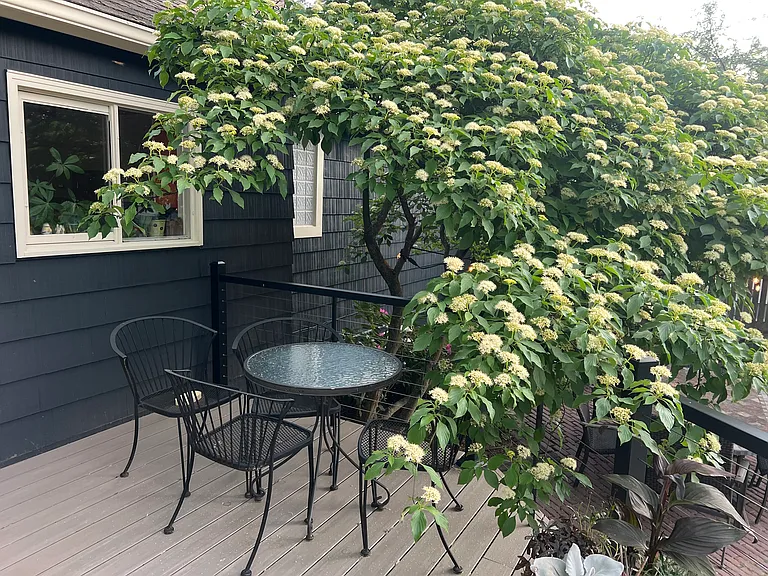 808 Beverly Ave — Photo 21