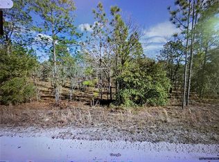2321 SE 150th Ave #15, Morriston, FL 32668