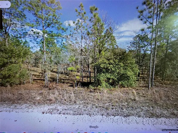 2321 SE 150th Ave #15, Morriston, FL 32668