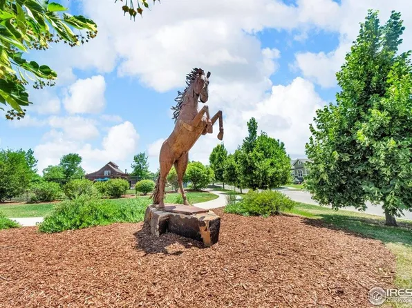 1968 Blue Yonder Way, Fort Collins, CO 80525