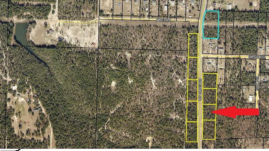 2nd image of 0 Mount Olive Rd Lot 4