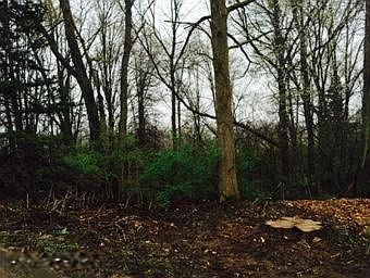 5th image of Eagle Lake Dr