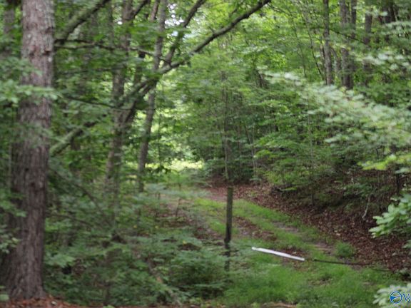 5th image of 100 Ac Hwy #11