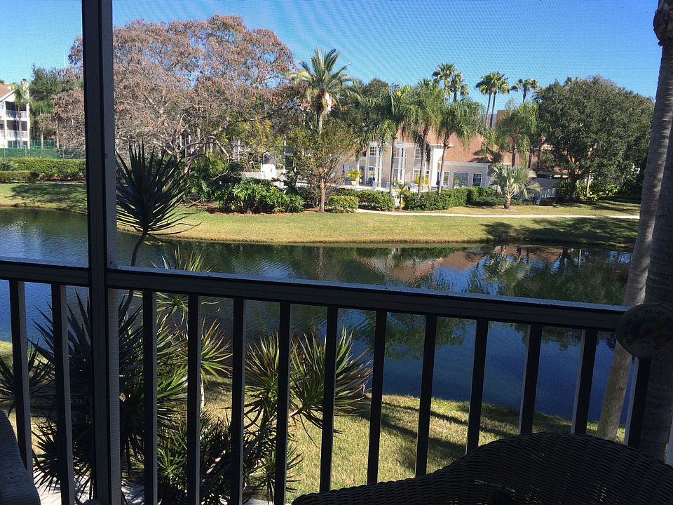 View from downstairs lanai