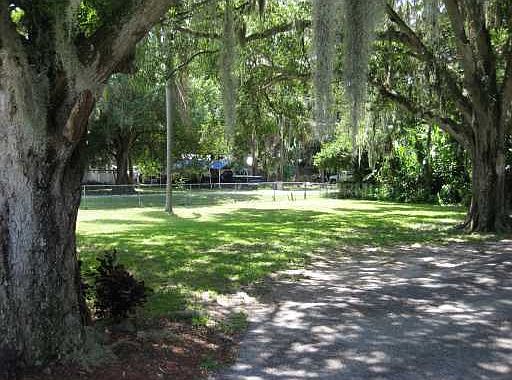Huge treed double lot 