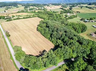 Lester Snapp Rd, Limestone, TN 37681