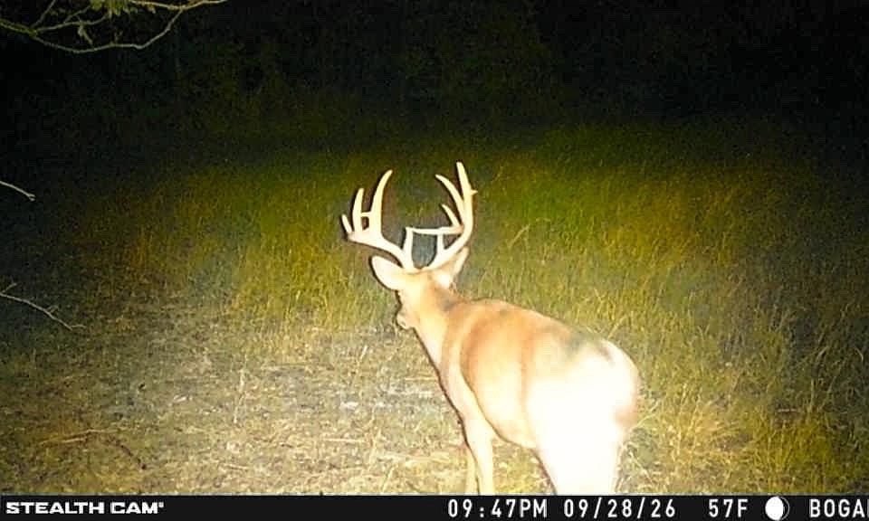 1st image of 0 Kerr Hill Rd