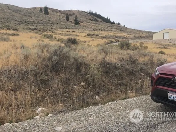 111 TBD Canyon View Road, Oroville, WA 98844