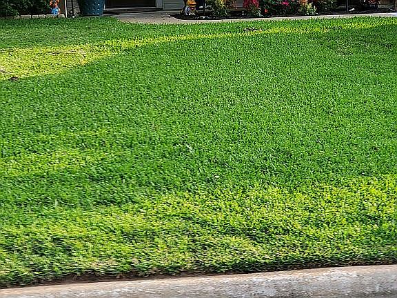 5th image of 307 Monterrey Ln