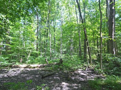 52251 17th Ave, Grand Junction, MI, 49056