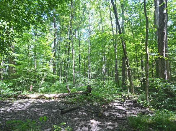 52251 17th Ave, Grand Junction, MI 49056