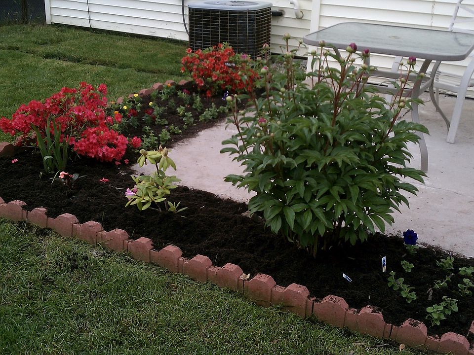 Backyard Patio
