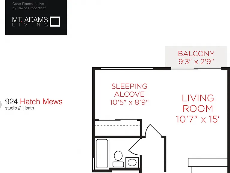 Mt. Adams Living — Photo 29