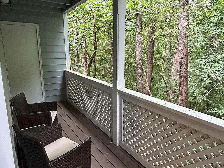 Private back balcony overlooking natural forest.