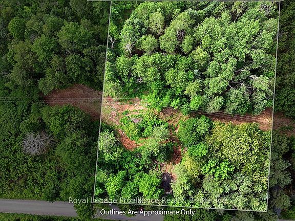 3rd image of 0 Otter Creek Rd