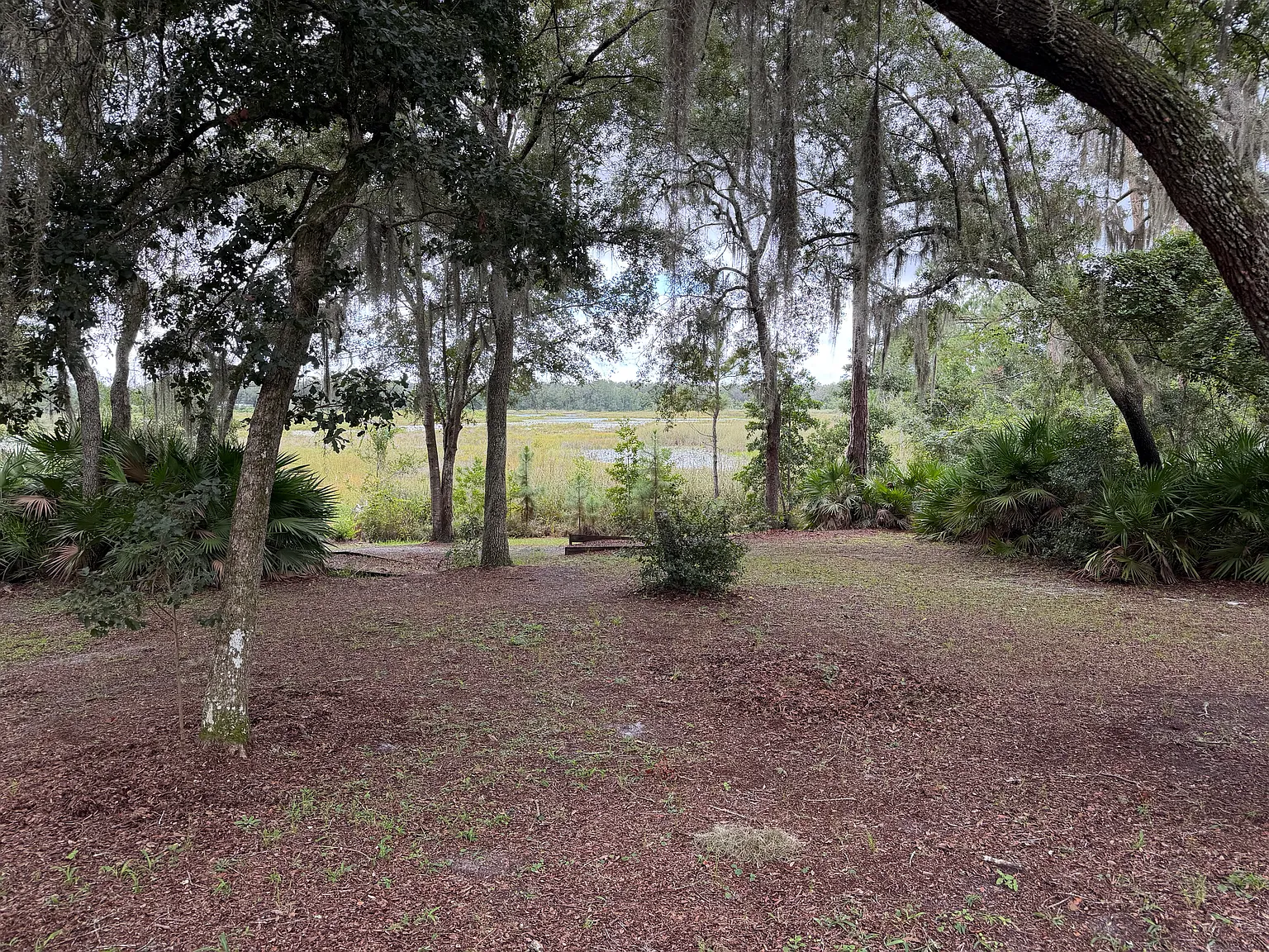 2 bed, 1344 sqft, $1,450 — Photo 4