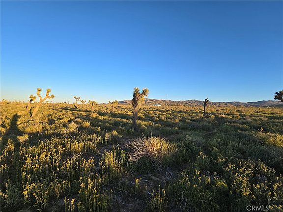 5th image of 55 Japatul Rd