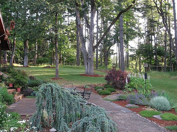 rear patio