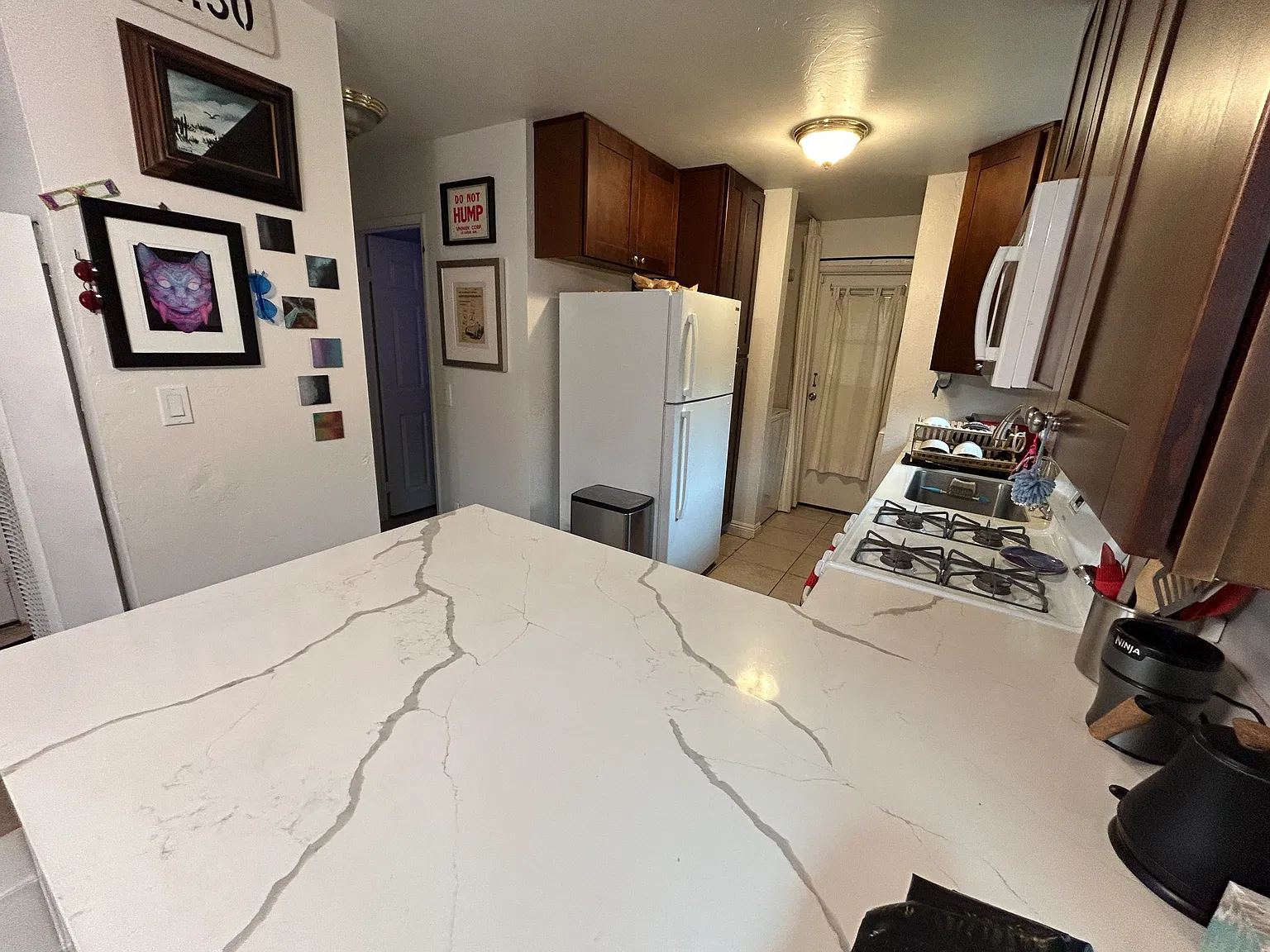1 bed, 800 sqft, $2,400 — Photo 3
