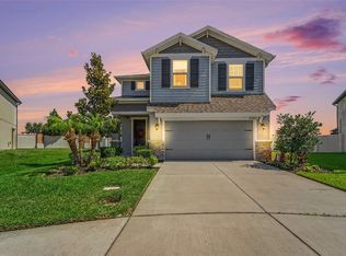 5463 Little Stream Ln, Wesley Chapel, FL 33545