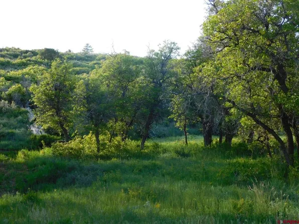 3365 Road 10.8, Dove Creek, CO 81324