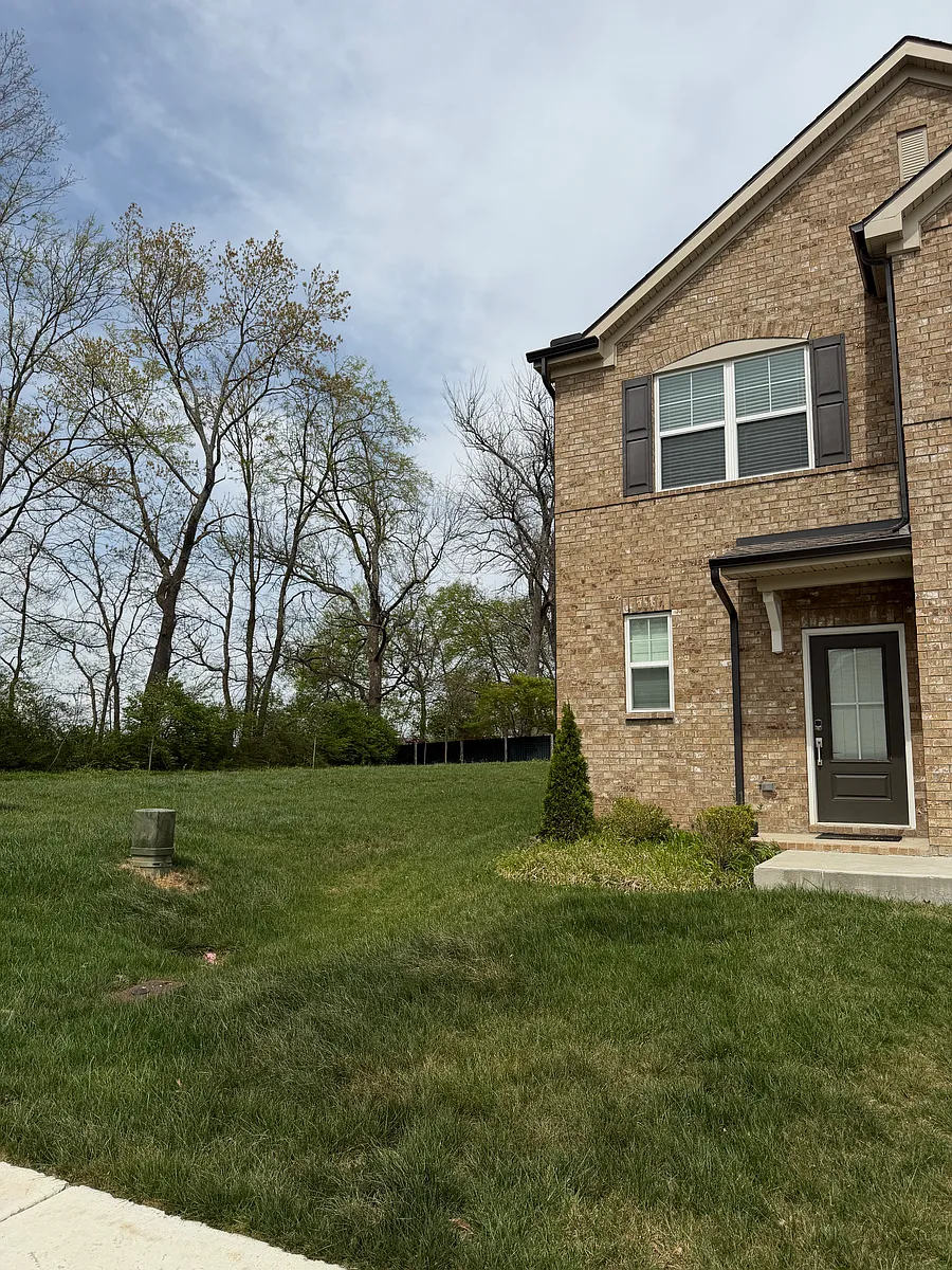 Open space on the side of the home - 574 Becks Pl #574