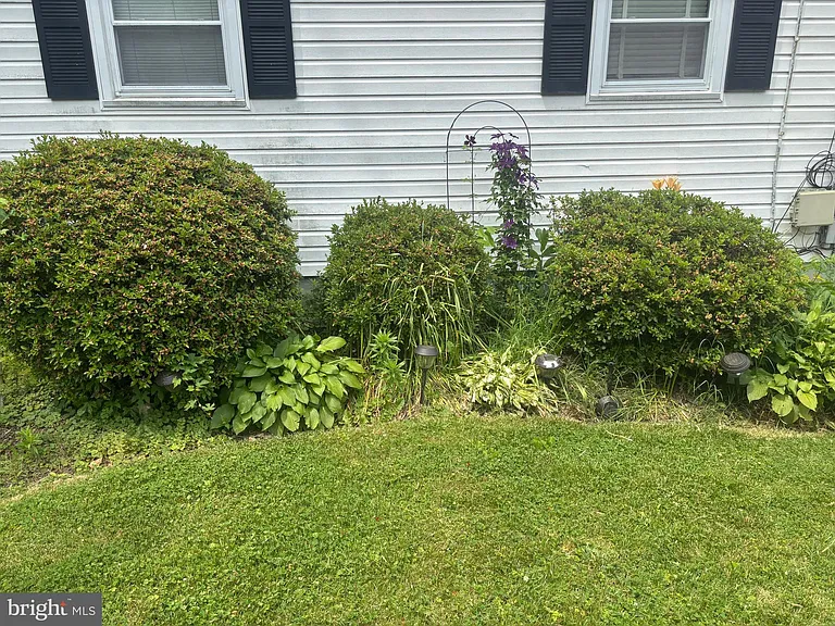 311 Harlem Ln — Photo 4