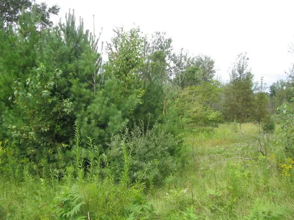 0 M 55, Tawas City, MI 48763