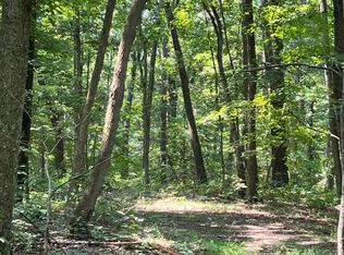 0 Thomas Rd, South Bloomingville, OH 43152