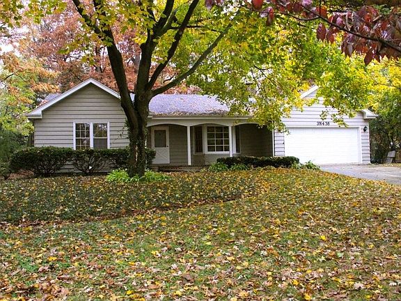 Fall View