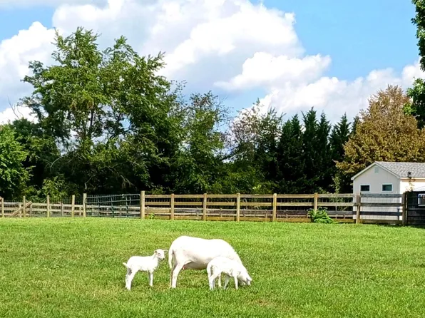 867 Kibler Rd, Quicksburg, VA 22847